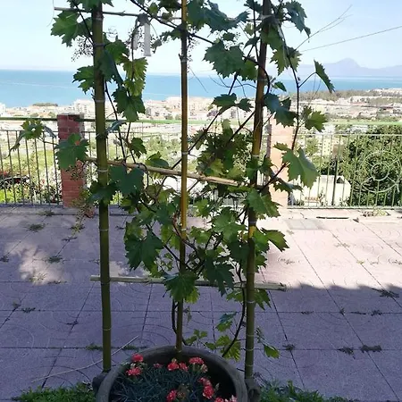 Vingiolo * Praia a Mare